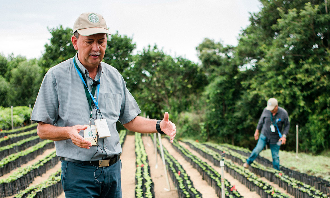 Cacau fornecido de forma ética